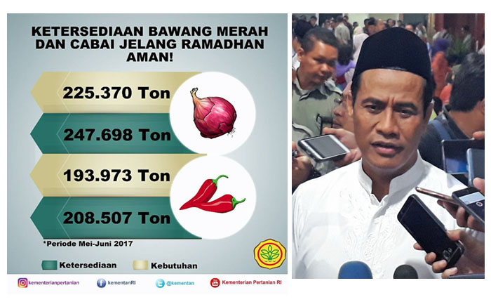 Mentan Desak Bulog Serap Cabai Petani Cegah Harga Terus Melorot